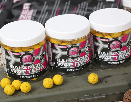 Mainline Dedicated Base Mix Balanced Wafters