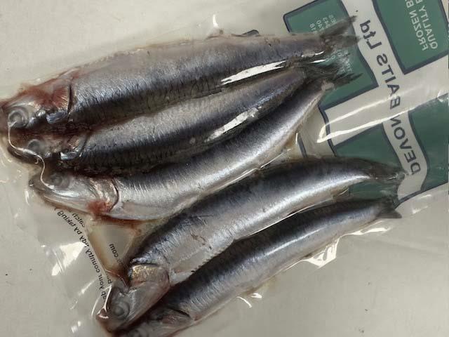 15 Devon Baits Anchovy