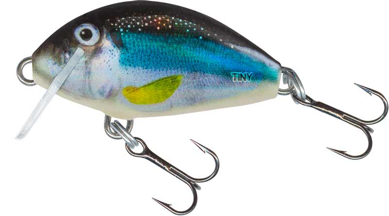 Salmo Tiny Bug Sinking Crankbait