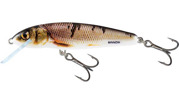 Salmo Minnow Sinking Wounded Dace 5cm 