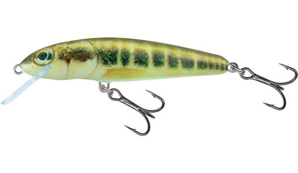 Salmo Minnow Sinking Minnow 5cm 