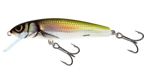 Salmo Minnow Sinking Holo Bleak 5cm