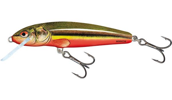 Salmo Minnow Sinking Rainbow Dace 5cm